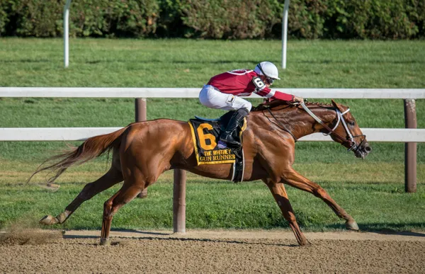 Horses racing